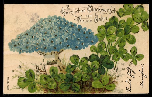 Blauer pilz aus - blauer,