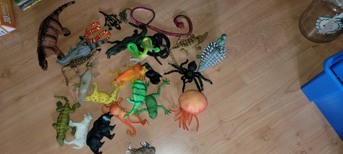 Gummi tiere - gummi,