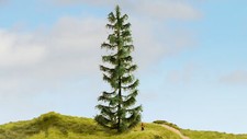 20192 noch master baum - 20192, fichte