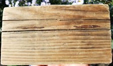 kleines Brett     Treibholz /