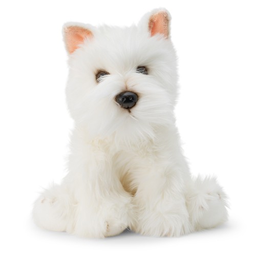 West highland white terrier - west,