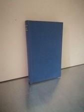 Don Ramiro Ein Roman aus dem