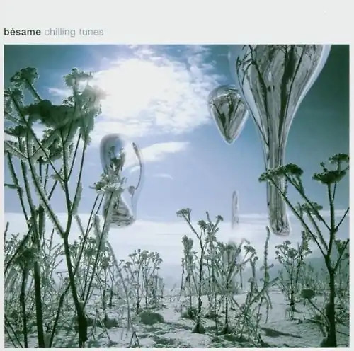 Various besame chilling - various,