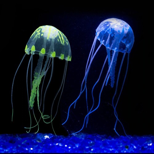 Neon leuchtende qualle - neon,