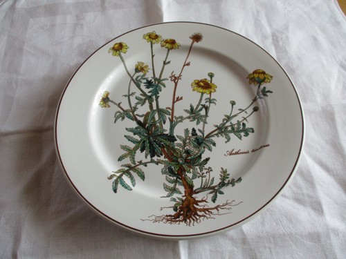 Villeroy boch botanica mit - boch,
