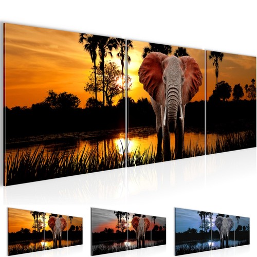 Wandbilder set afrika elefant - set,