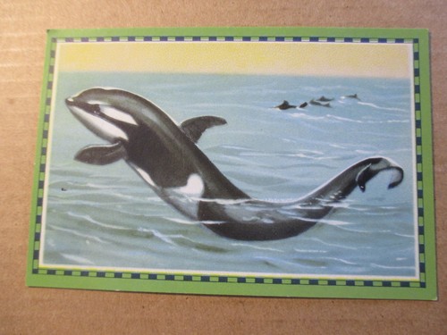 Bild chlorodont - 1.bild,
