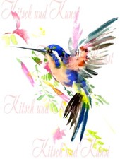 Kolibri Blumen aquarell Abziehbild Decalfolie Laser shabby chic Möbeltattoo A 4