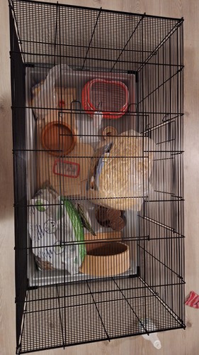 Hamsterkäfig und zubehör - hamsterkäfig,