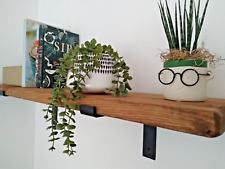 Regal Massivholz Gerüstbrett +2 Klammern 3,4 cm stark