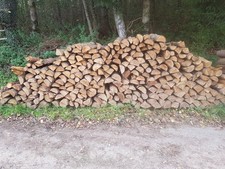 Ca. 3 Ster Brennholz