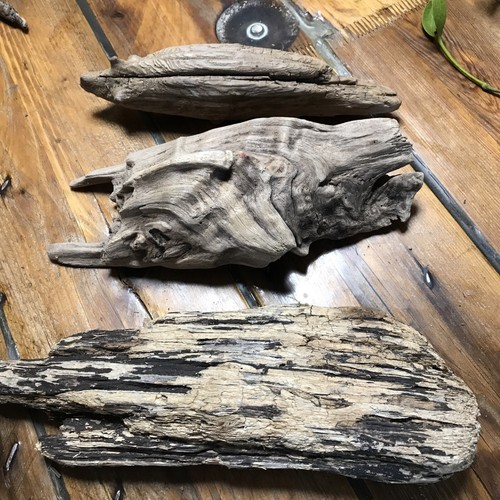 Treibholz schwemmholz holz ast - schwemmholz,