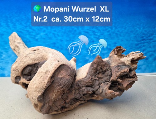 Aquarium mopani xl wurzel - mopani,