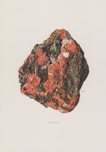 Heulandit farbdruck - ,