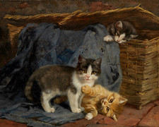 Drei Katzenkinder Julius Adam