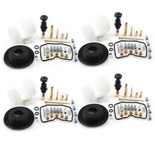 Vergaserreparatursatz