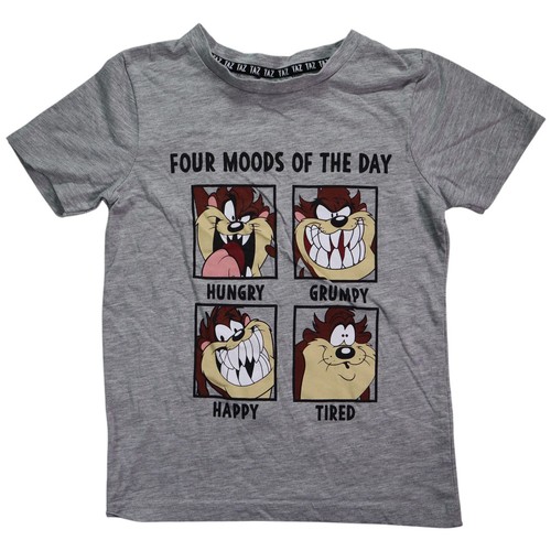 Looney tunes taz jungen - tunes,