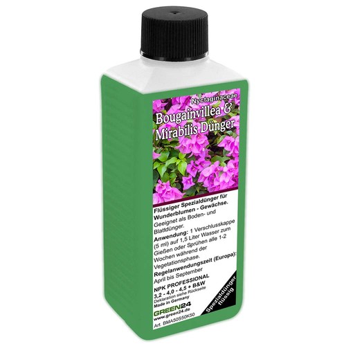 Green24 bougainvillea - green24, &