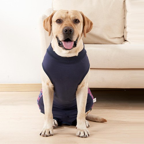Hunde anzug für große - für,