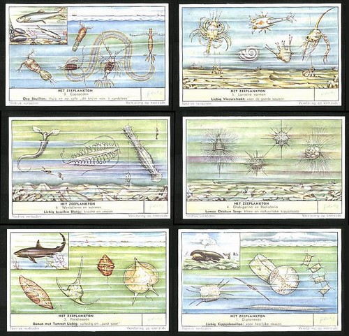 Sammelbilder liebig serie - 6, liebig,