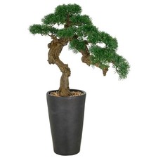 Kunstpflanze Bonsai Zeder