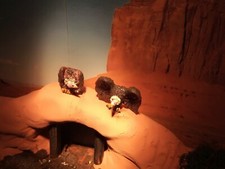 2 Geier, fliegend, sitzend, wilder Westen, Amerika, passend zur Spur G, neu