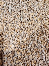 0,85€/kg) Weizen 20 kg