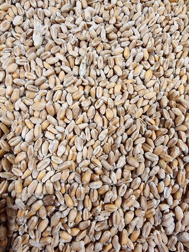 Weizen 20 kg - 0,84€/kg),