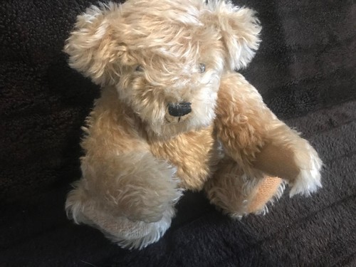 Teddy