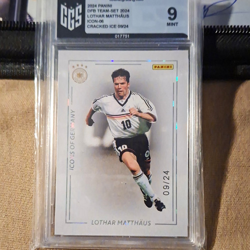 Panini dfb team - dfb, 2024