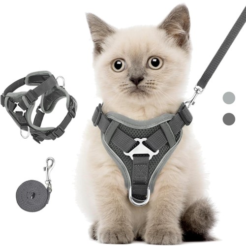 Katzengeschirr leine set - leine,