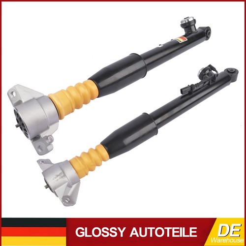Paar stoßdämpfer hinten - paar,