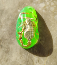 Schlüsselanhänger Insekt in