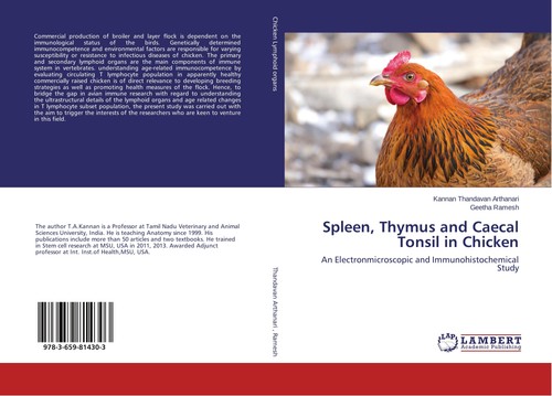 Spleen thymus and caecal - and,