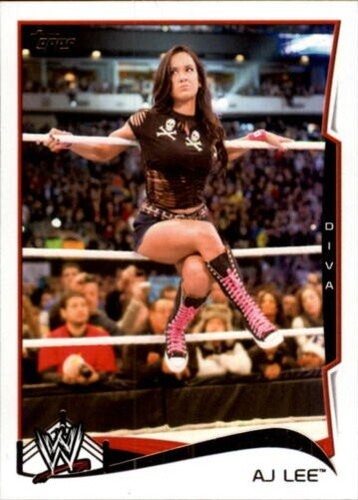 B3378 2014 topps wwe - b3378-,