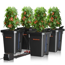 Spider Farmer DWC Hydroponic