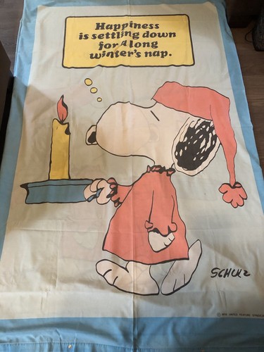 Vintage snoopy peanuts - vintage,