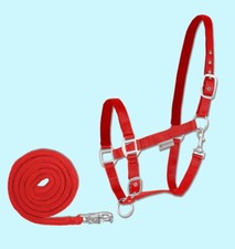 Pferde Halfter + Strick Set