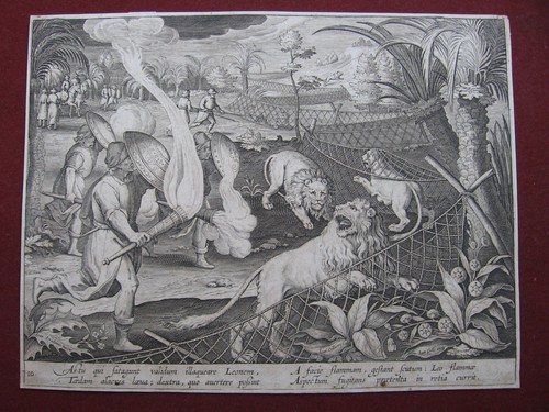 Jan collaert löwenjagd - collaert:,