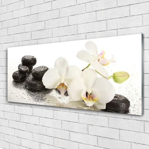 Glasbilder wandbild druck - wandbild,