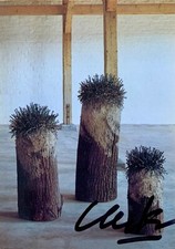 GÜNTHER UECKER orig