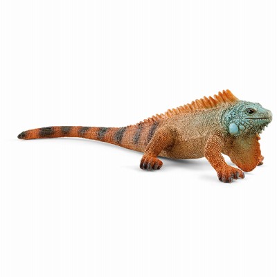 5er pack leguan spielzeug - pack,