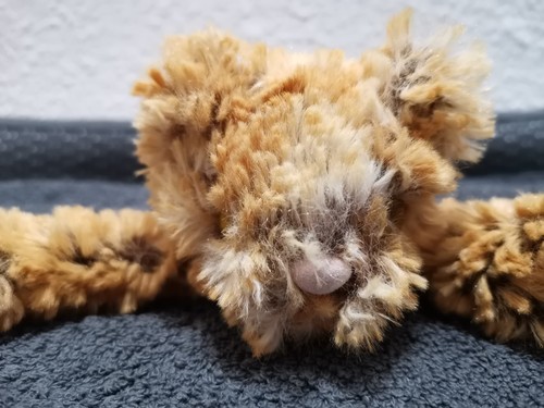 Jellycat ginger kooky - ginger, cat