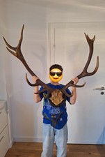 Hirschgeweih 15 -Ender auf