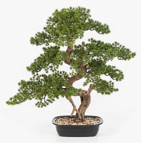 Artplants künstlicher bonsai - artplants,