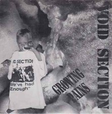Void Section Growing Pains Vinyl Single 7inch NEAR MINT Pogostick Records
