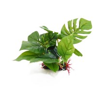 New Plastic Plant Decoration