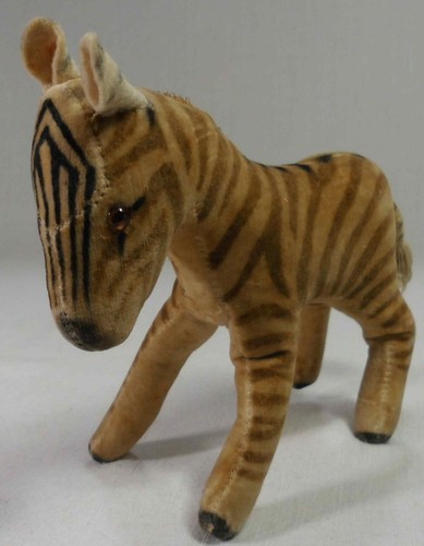 Entzückendes zebra baby - entzückendes, zebra-baby