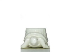 Eierbecher, Schildkröte