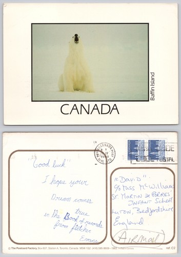 X03110 eisbär baffin island - x03110,